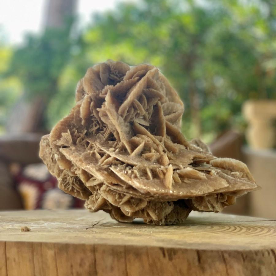 Casa Vacanze Capurre "Trulli E Pajare A Due Passi Dal Pizzo" غالّيبولي المظهر الخارجي الصورة