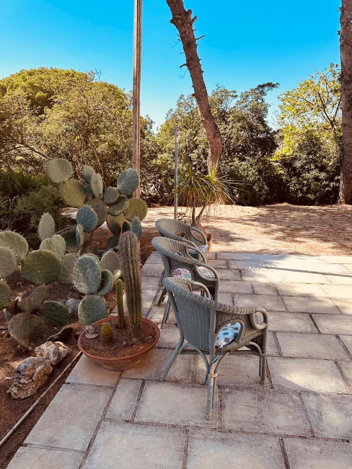 Casa Vacanze Capurre "Trulli E Pajare A Due Passi Dal Pizzo" غالّيبولي المظهر الخارجي الصورة